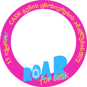 Frame of ქართული CASK Awareness 2025